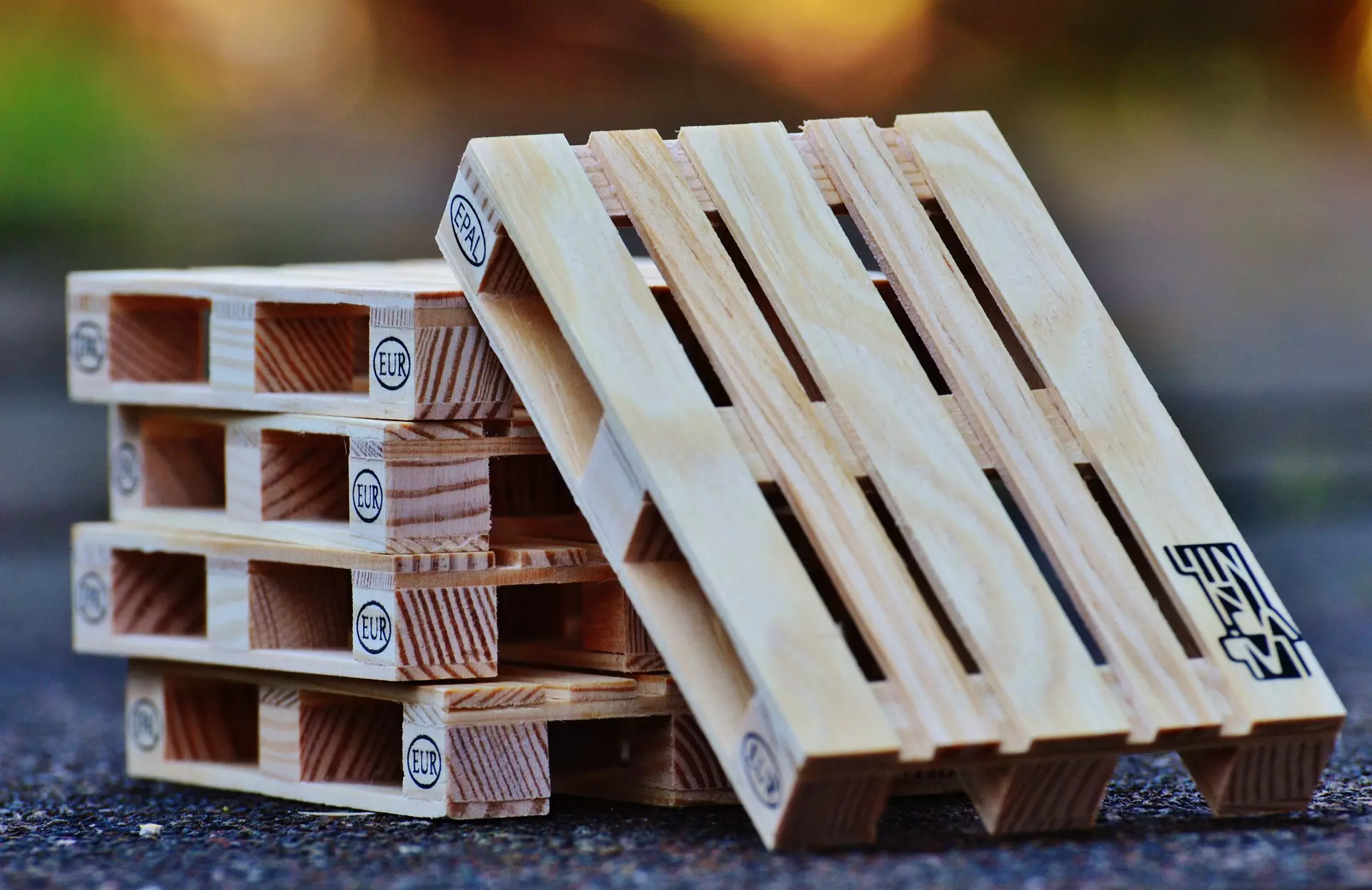 Pallet, gardening on a budget