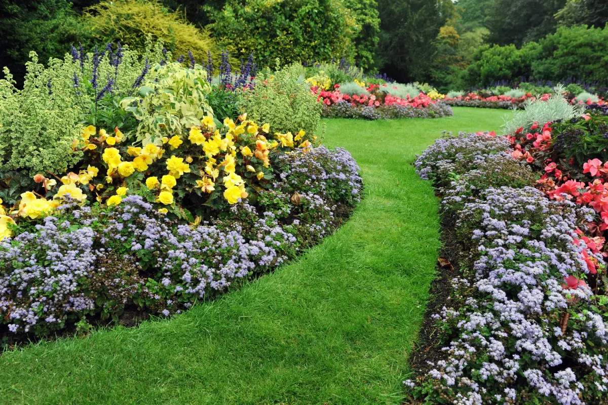 Colorful spring garden full of flowers