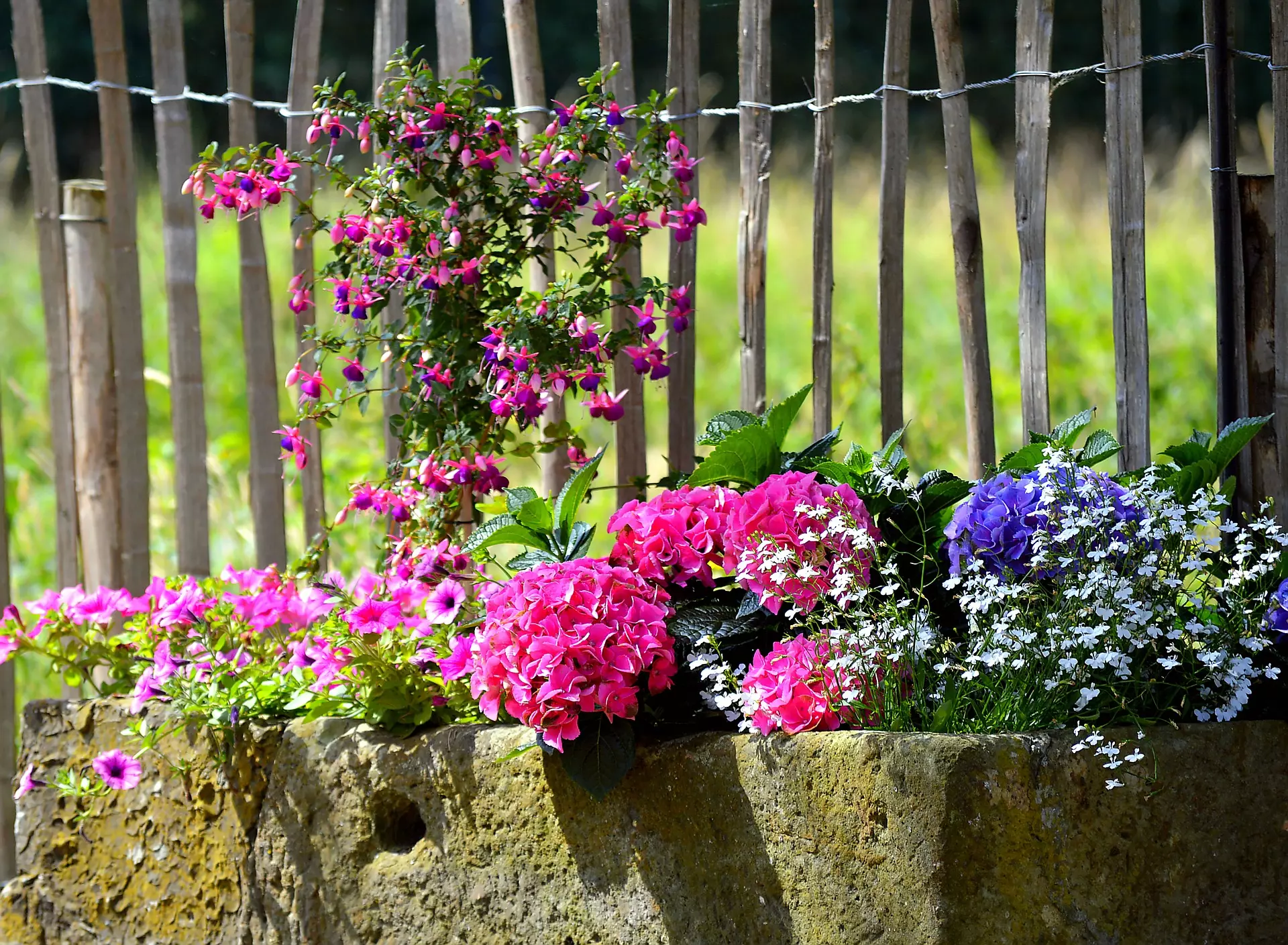Planters